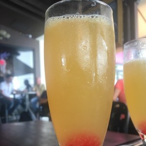 mimosa