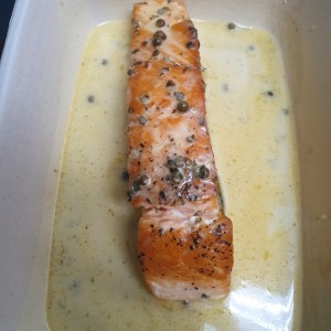 salmon 