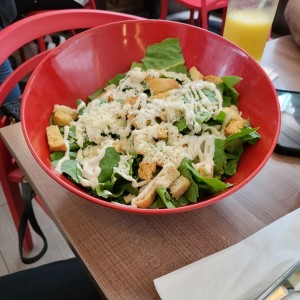 Cesar Salad