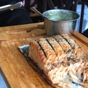 salmon 