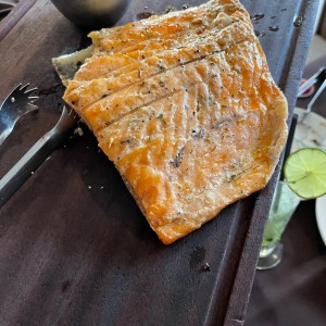 Salmon