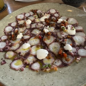 Pulpo