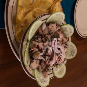 Entradas - Ceviches de Pulpo