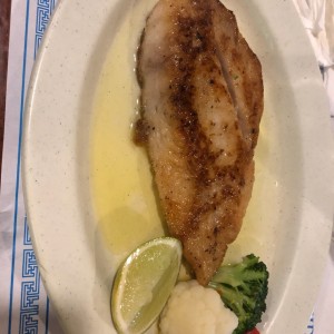 Corvina a la plancha