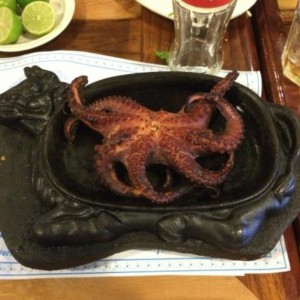 pulpo de jimmys