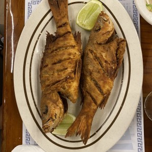 Pescado 