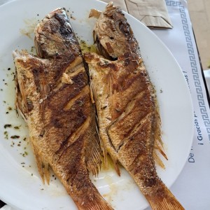 Filete de Pargo a la plancha, a la Griega o al Ajillo