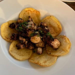 Pulpo a la Parrilla Sobre Medallones de Papa y Chimichurri