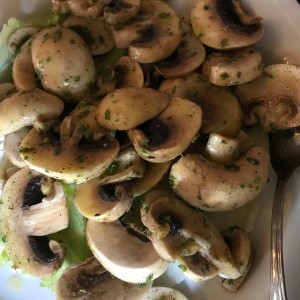 Hongos 