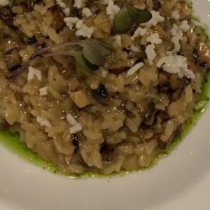 Arroces - Risotto Dr. Mendoza