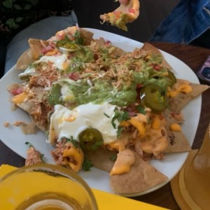 Nachos de pollo