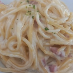 Pastas - Alfredo