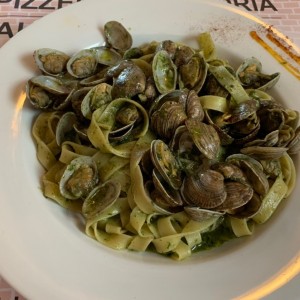 Fettuccini al Pesto con Vongole