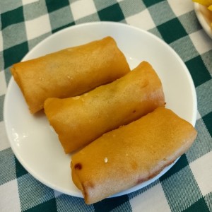 Dim Sum - Rollitos