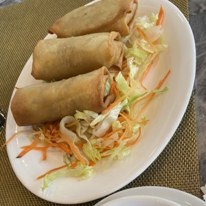 Dim Sum - Rollitos