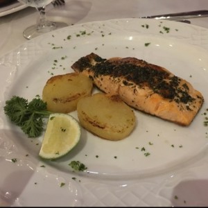 Salmon 