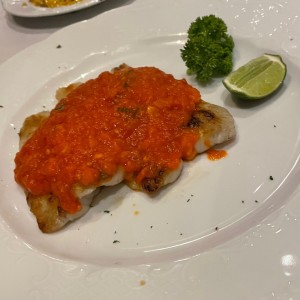 Corvina con Salsa de Tomate y Albahaca