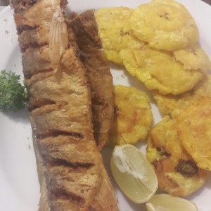 Corvina Frita