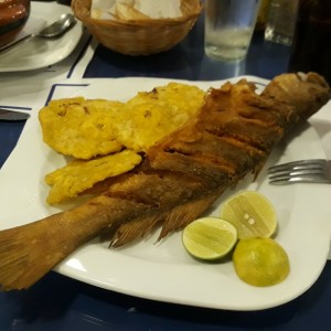 corvina frita entera.