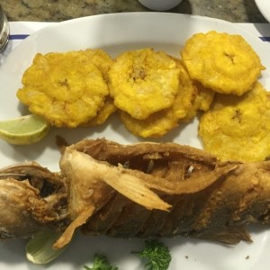 Corvina Frita 