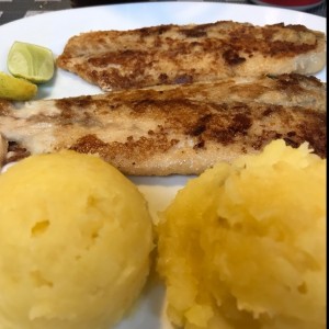 Corvina a la plancha con pure