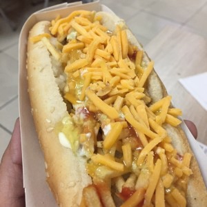 Hot Dogs - Salchicheddar