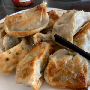 Wo Tips (Dumplings Fritos de Cerdo con Vegetales