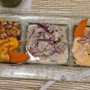 PIQUEO TRES CEVICHES