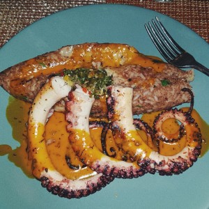 pulpo