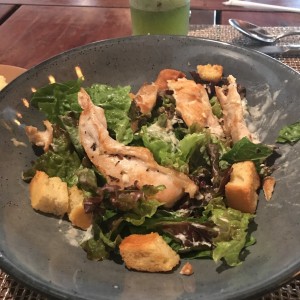 cesar salad con pollo 