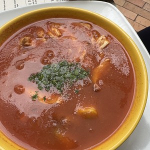 Sopa the choice