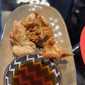 Wanton Kani