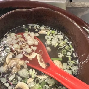 Sopa